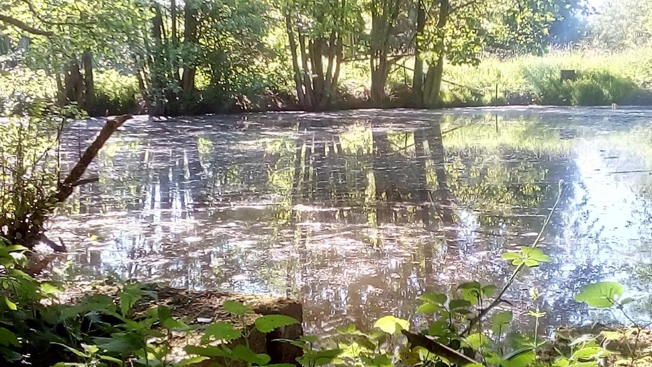 Domaine De Gentilly Saint-Maurice-lès-Charencey Екстериор снимка