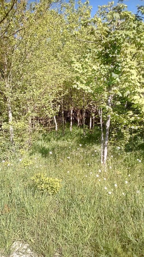 Domaine De Gentilly Saint-Maurice-lès-Charencey Екстериор снимка
